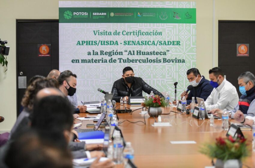  Inicia proceso de certificación de ganado en la huasteca