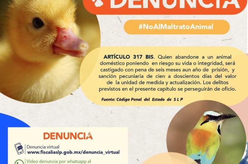  No al maltrato Animal