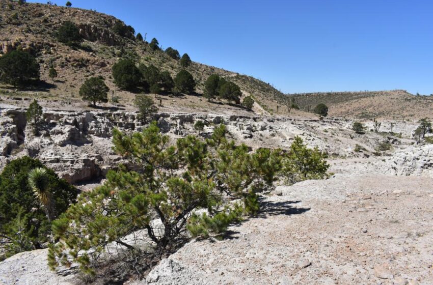  Sierra de San Miguelito será área protegida