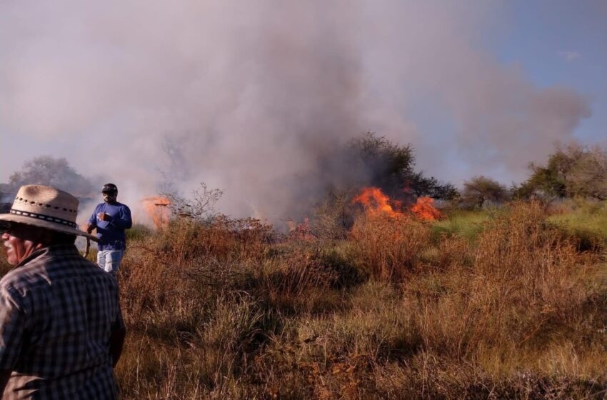  Controlan incendio de pastizal