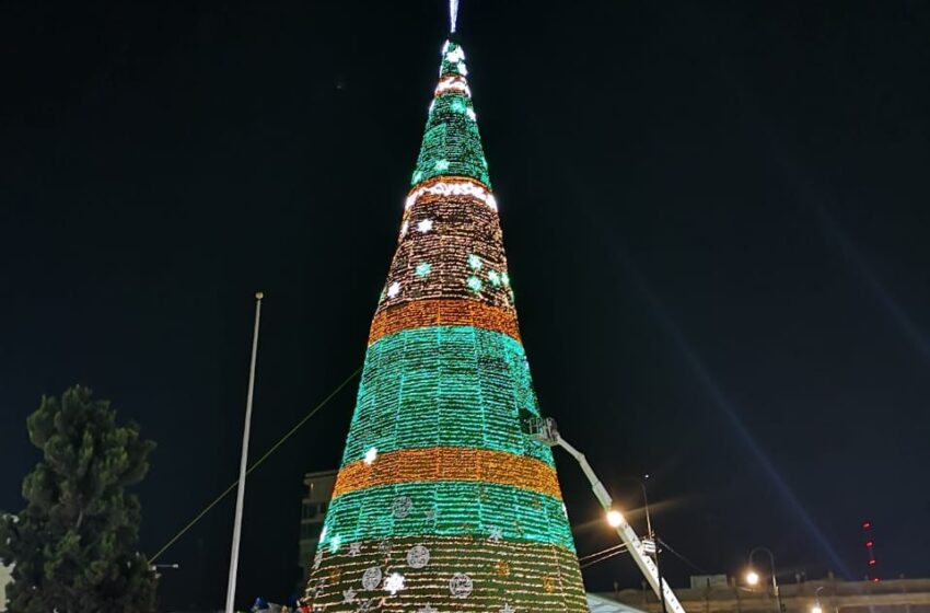  Un millón de luces tiene árbol de Fundadores