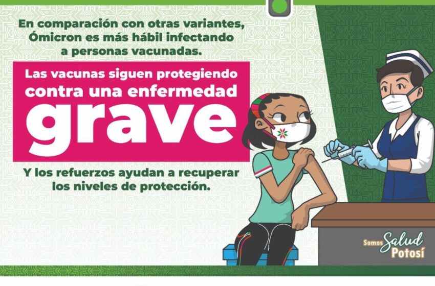  Medidas de prevención