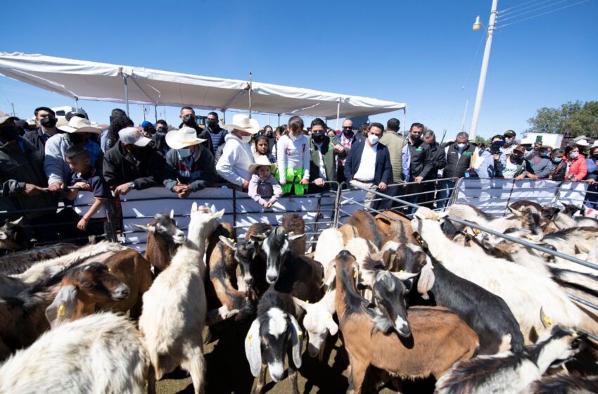  Productores construyen bordos de abrevadero