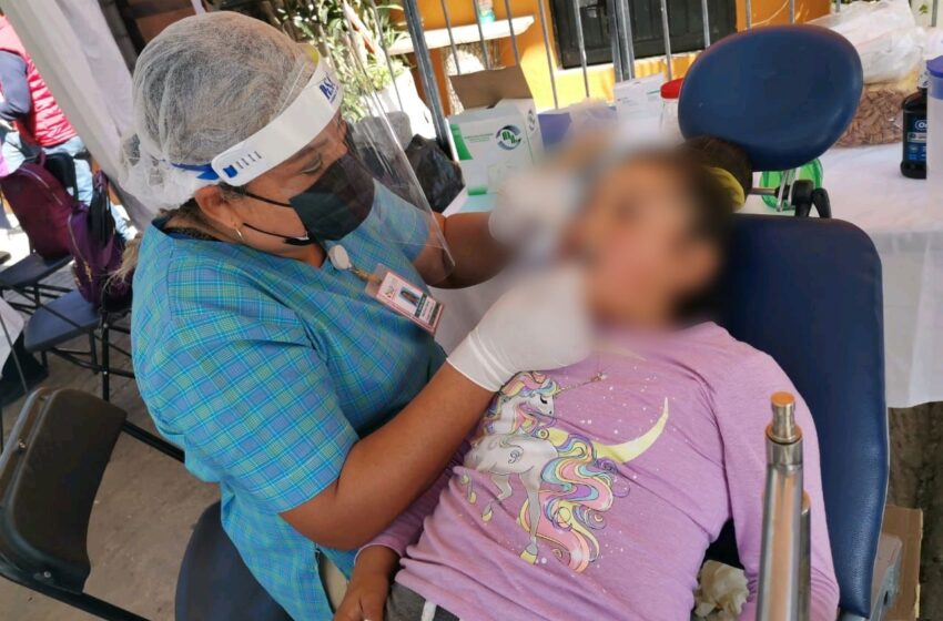  207 especialistas en odontología brindan atención gratuita en SLP