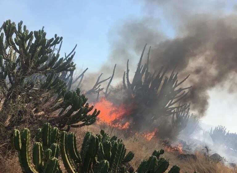  Atienden incendio en San Ciro de Acosta