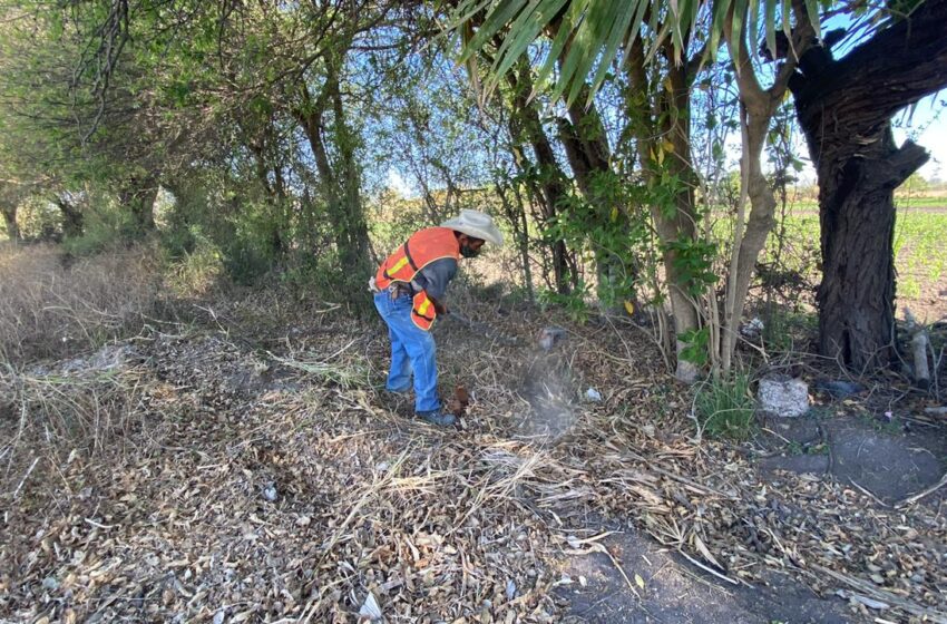  Arranca  CDFDZ la campaña “Patrimonio limpio y seguro”