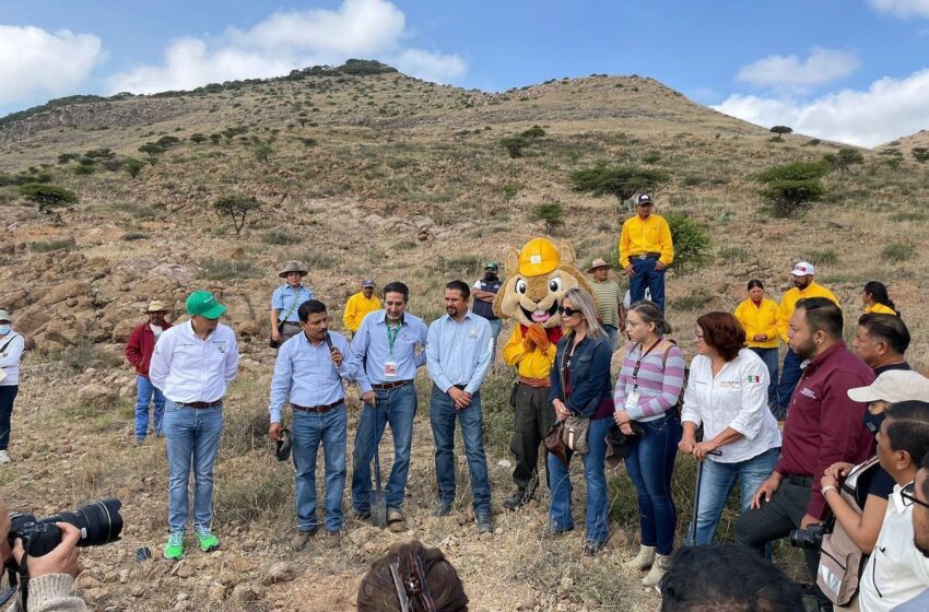  SEGAM donará 5 mil arbolitos