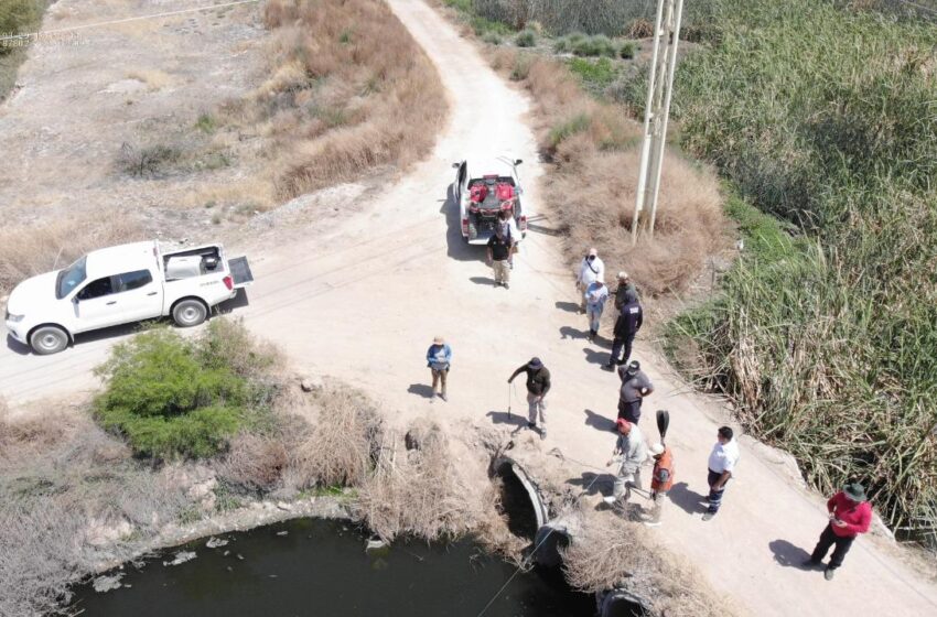  Condenan ataques a Colectivo Víctimas Voz y Dignidad por los Nuestros San Luis Potosí A.C.