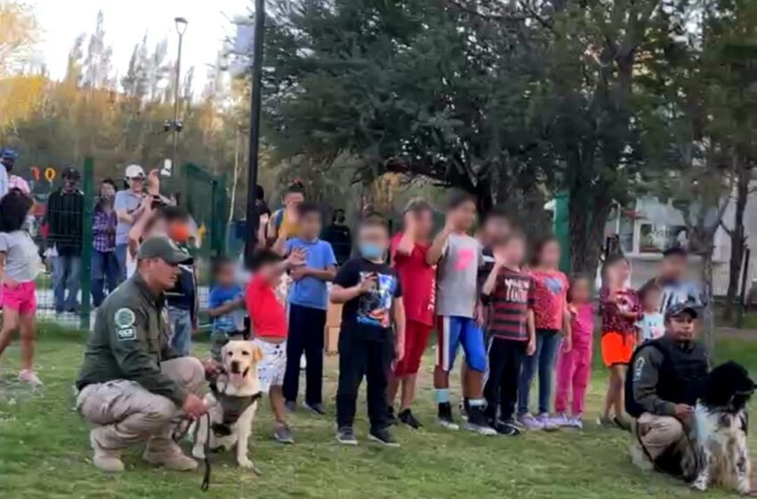  Perros policía conviven con niños