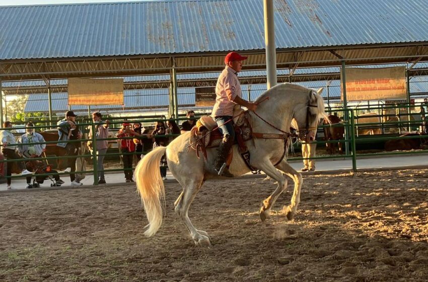  Espectáculo de caballos bailarines en FENAPO