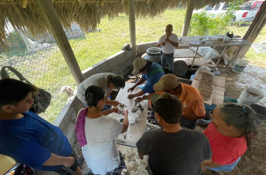  Concluye curso de fertilizantes orgánicos