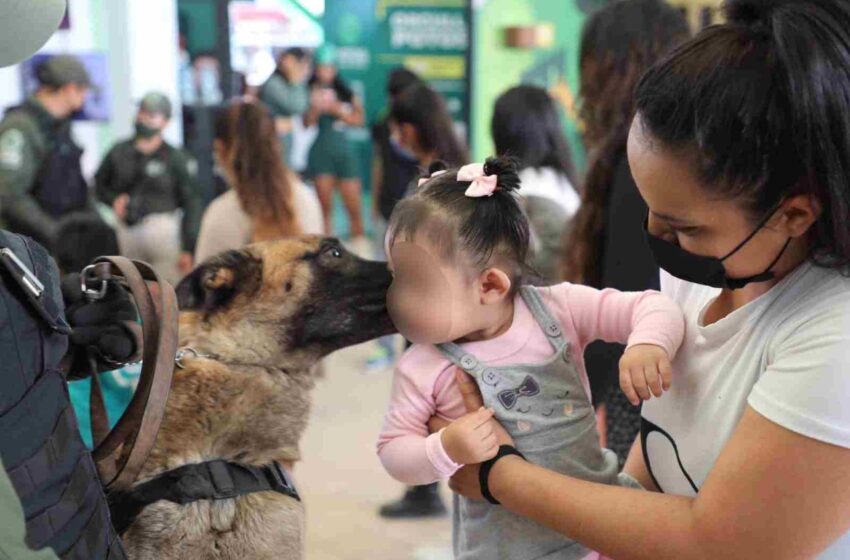  Binomios caninos presentes en FENAPO