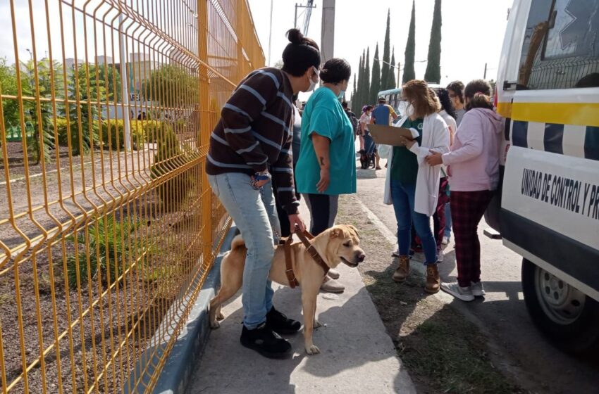  Iniciará SLP campaña de vacunación