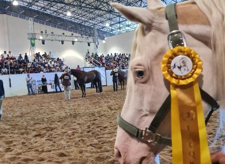  Muestra de caballos en FENAPO