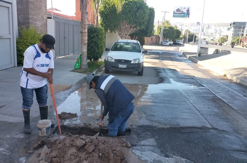  Atiende “Fuga Cero” 94% de los reportes