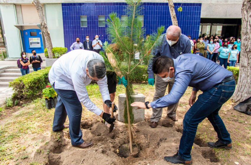  UASLP implementa programa de desarrollo sustentable