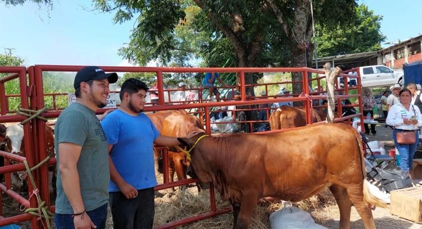  Apoya Gobierno a la ganadería en Xilitla