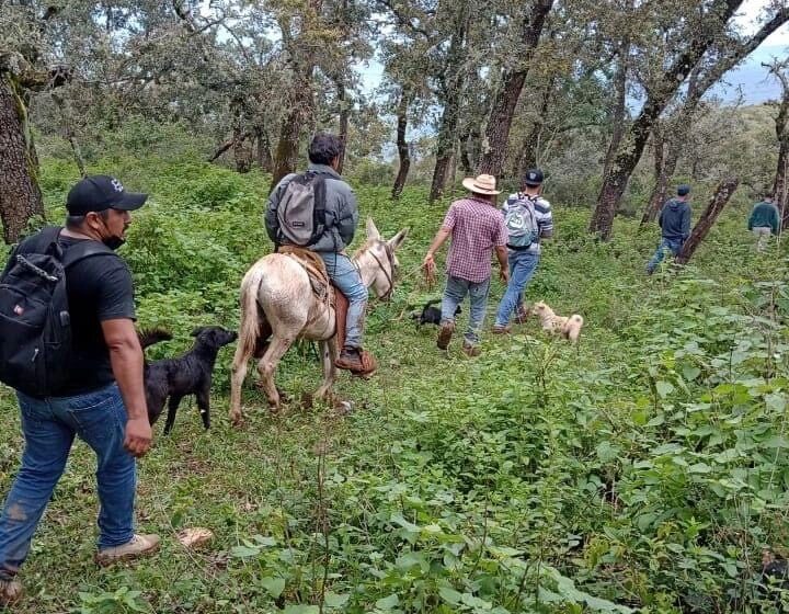  Localizan a personas extraviadas en San Ciro de Acosta