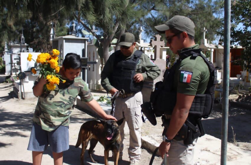  Activo operativo de Día de Muertos