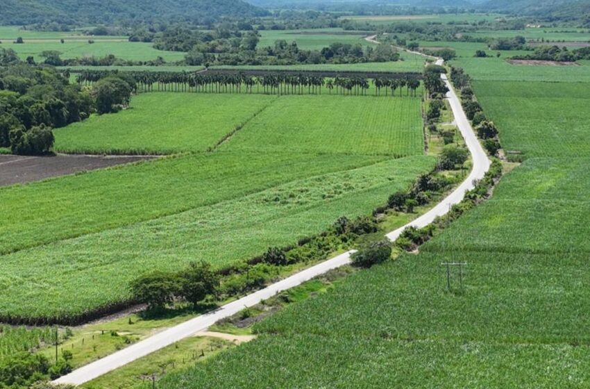  Carretera Cd. Valles – El Naranjo impulsará el desarrollo de la zona