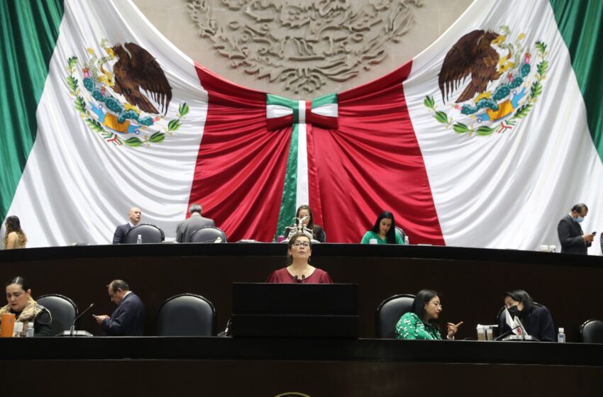  Aprueban Diputados  Ley General de Acceso de las Mujeres a una Vida Libre de Violencia