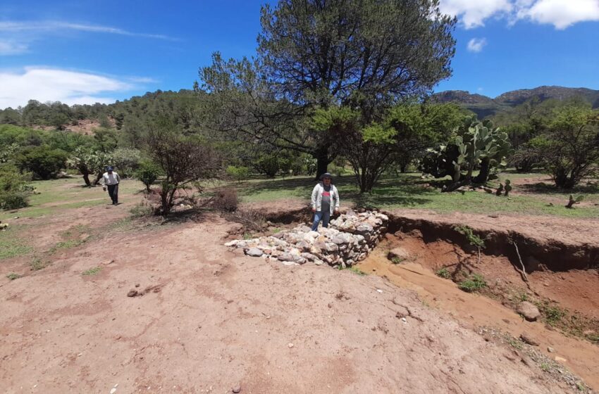  CONAFOR verifica  las acciones realizadas por personas beneficiarias del apoyo  Restauración Forestal de Microcuencas