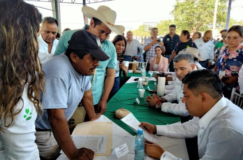  En 2022 se triplicó el número de potosinos que elaboraron su testamento