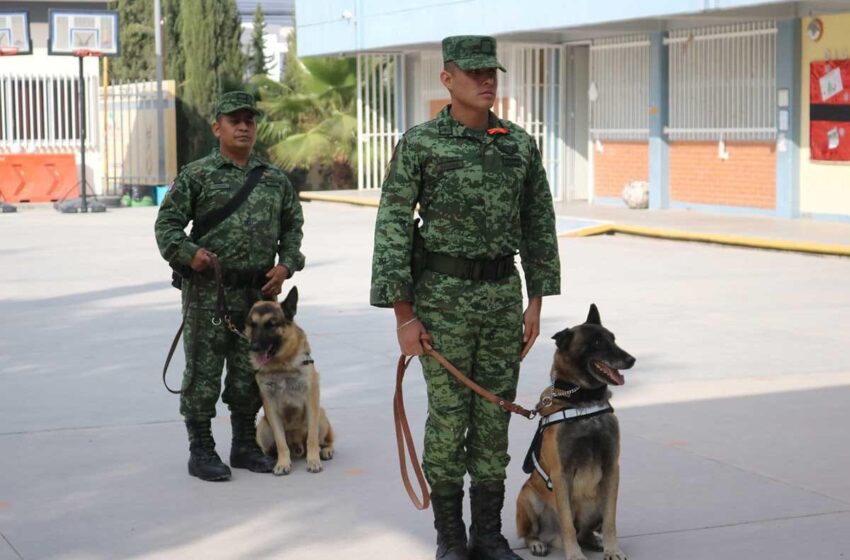  Refuerzan seguridad en escuelas por período vacacional