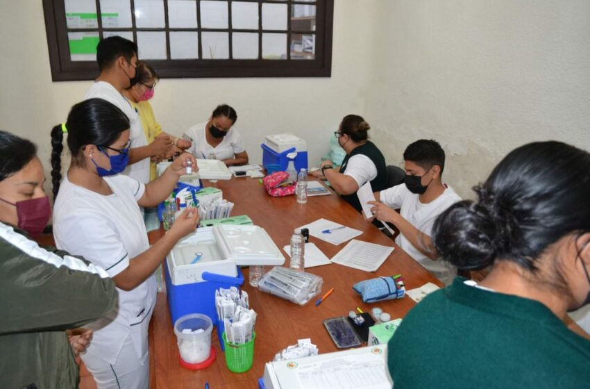  Registra Salud 69% de avance contra influenza