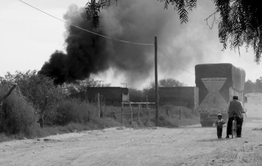  Documental de la UASLP en la final de la XXXI Bienal Internacional de Cine e Imagen Científicos