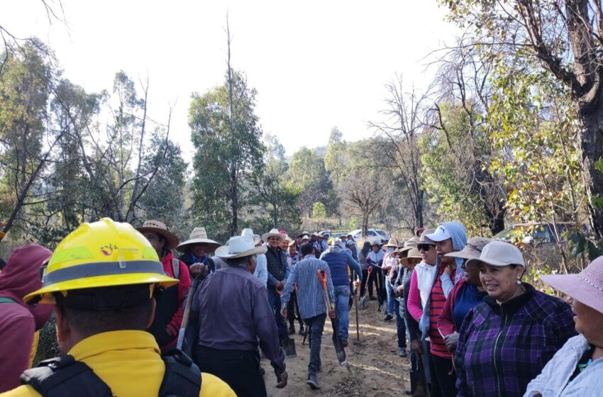  Capacita CONAFOR en manejo de combustible forestal