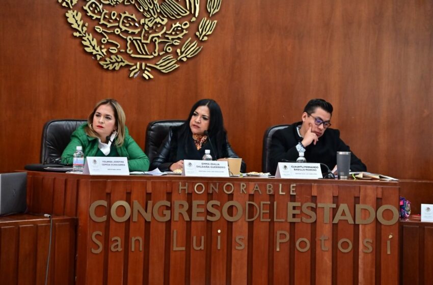  Fortalece SLP acciones en implementación y seguimiento a la alerta de género