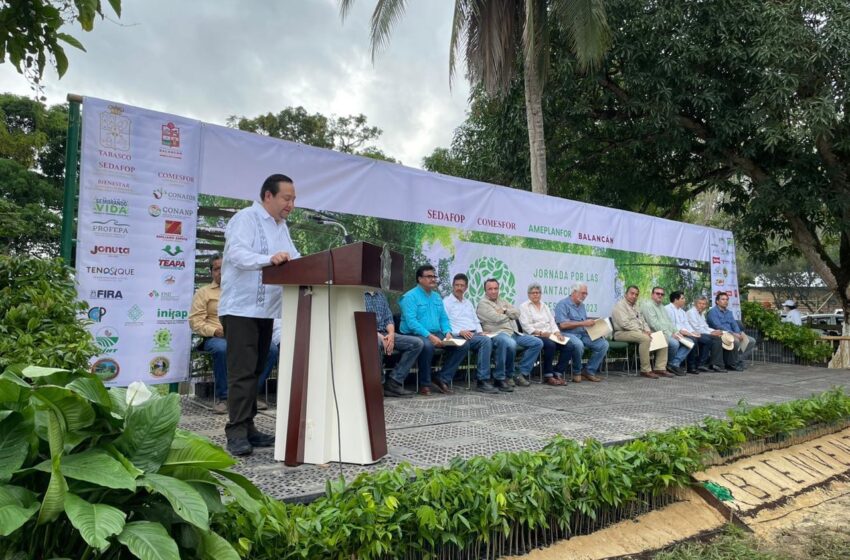  1era. Jornada de Plantadores Forestales Comerciales