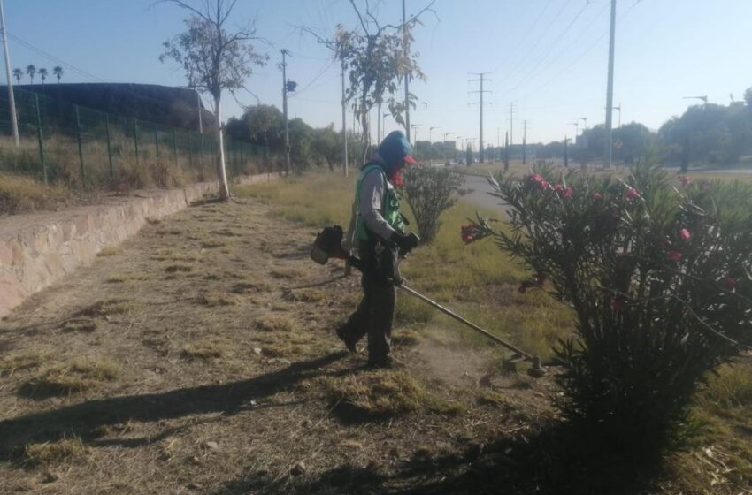  Dan mantenimiento a vías de acceso a Zona Metropolitana