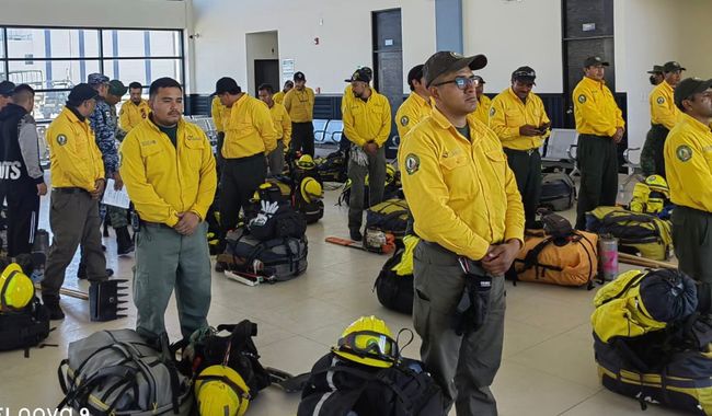  Gobierno de México envía ayuda humanitaria a Chile ante emergencia por incendios forestales