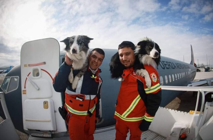  Especialistas de la Cruz Roja llegan a Turquía