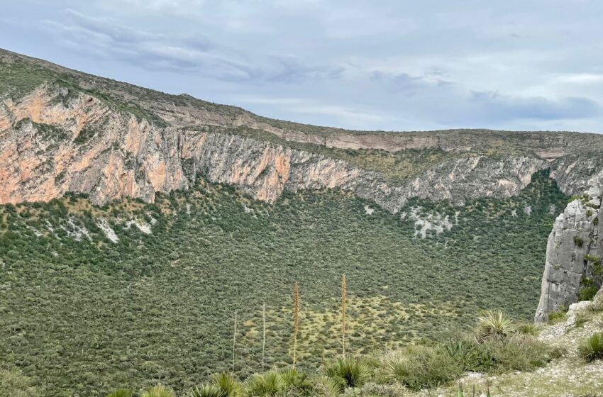  Presenta SEGAM plan de manejo ambiental para la Joya Honda