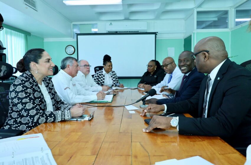  Visita de trabajo conjunta Amexcid-FAO-Embajada de México a Santa Lucía y Dominica