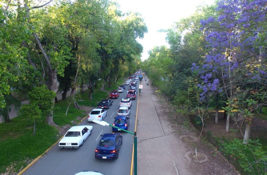  Con lleno absoluto parques Tangamanga y las Camelias logran saldo blanco