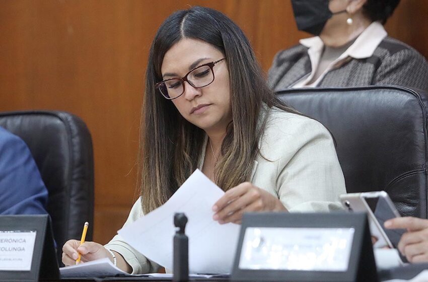  Alcaldes obligados a elegir perfiles adecuados en corporaciones policiacas: diputada Segovia Colunga