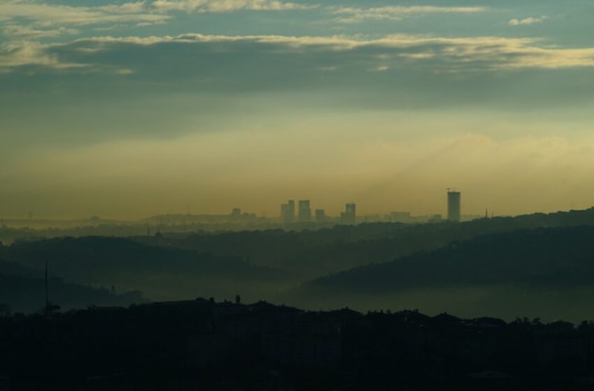  Afecta contaminación atmosférica material genético, peso y talla de recién nacidos