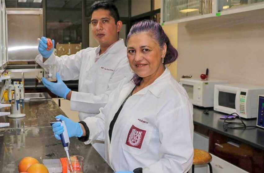  Investigadores del IPN comprueban que jugo de toronja protege contra daño testicular