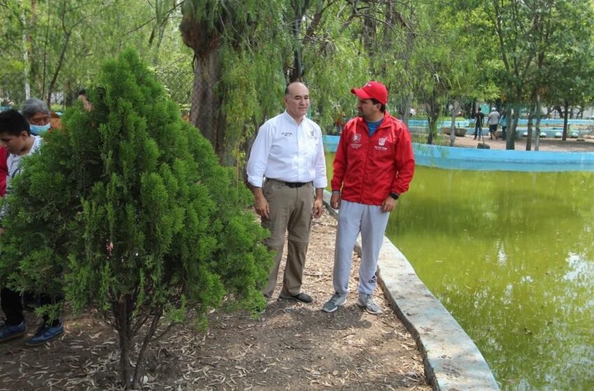  Gobierno de la Capital, intensifica trabajos de reforestación del Parque de Morales