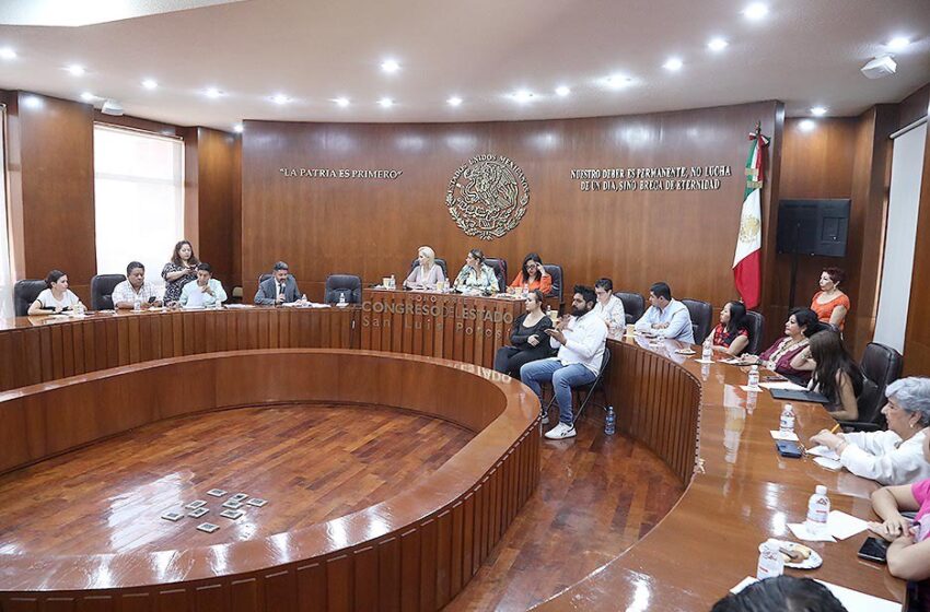  Grupo Operativo de la consulta a personas con discapacidad, presentó informe de resultados