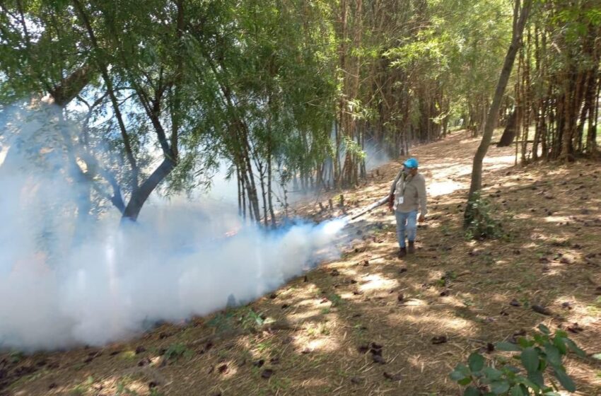  Gobierno Estatal intensifica acciones preventivas contra dengue