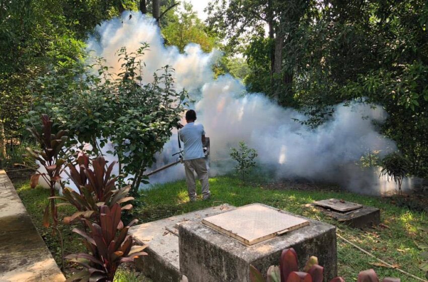  Detecta Estado primer caso de dengue en la Zona Metropolitana