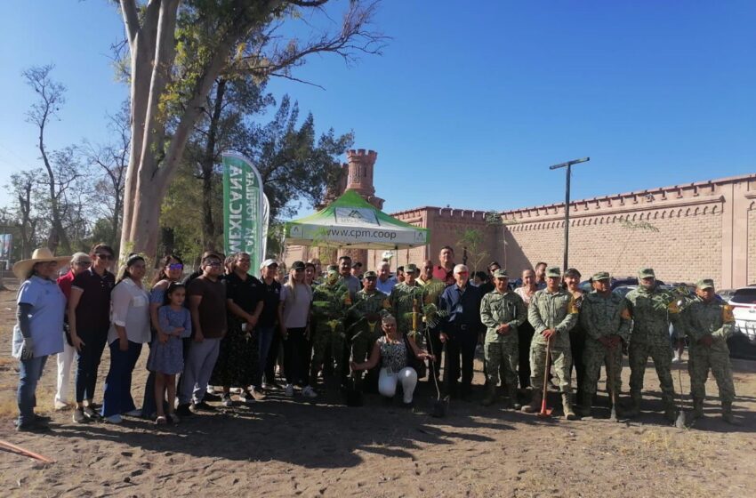  Gobierno del Estado inicia reforestación en el Centro Histórico