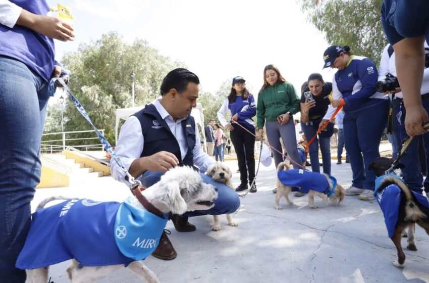  En el Día Mundial del Perro Callejero, promueve alcalde de Querétaro la tenencia responsable de mascotas