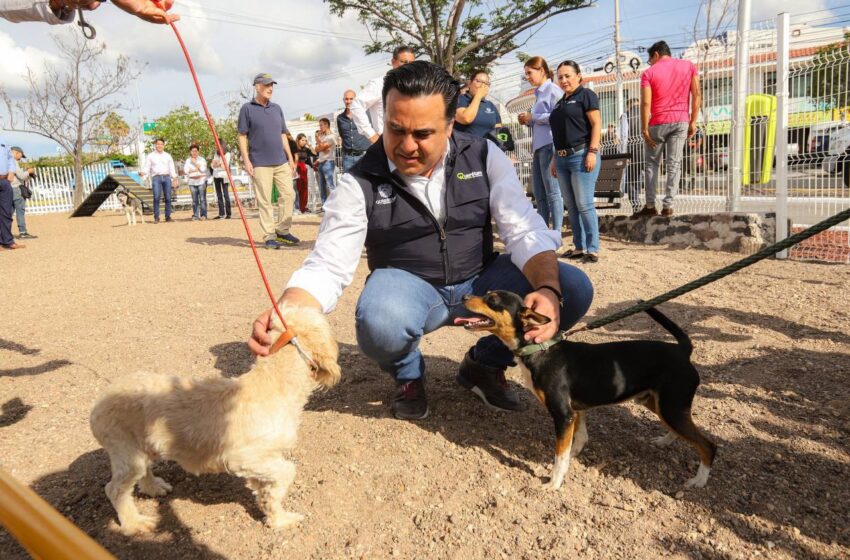  Entrega Luis Nava el nuevo Parque Canino en avenida del Parque, en Querétaro