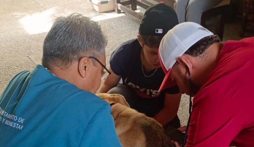  Avanzan acciones de esterilización de mascotas en delegaciones rurales de Aguascalientes